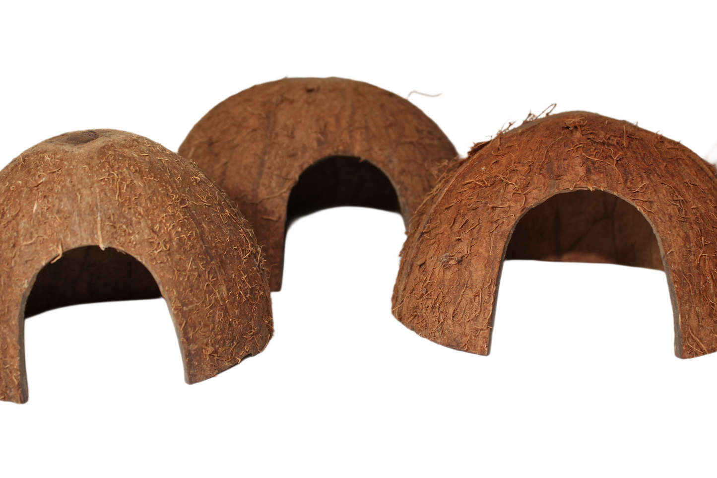 1/2 Nuss mit einem Loch