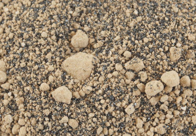 Rexi Terrascaping Desert schwarz