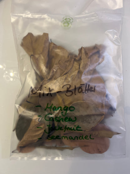 Terraleaf-Mix Blätter