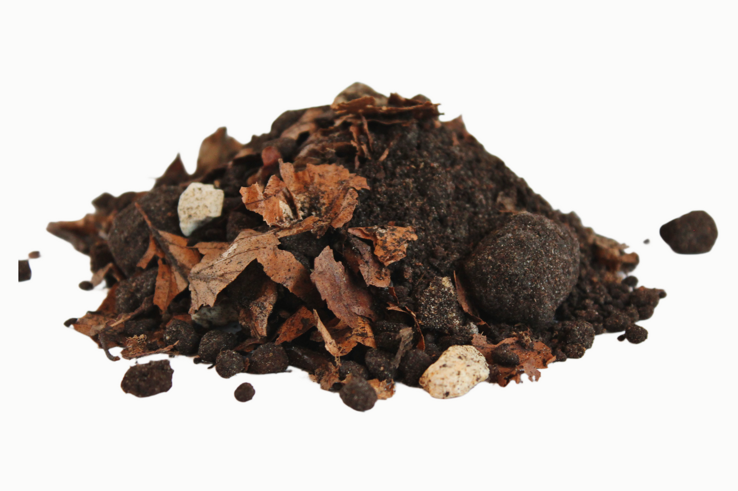 Schildkrötenbodenstreu