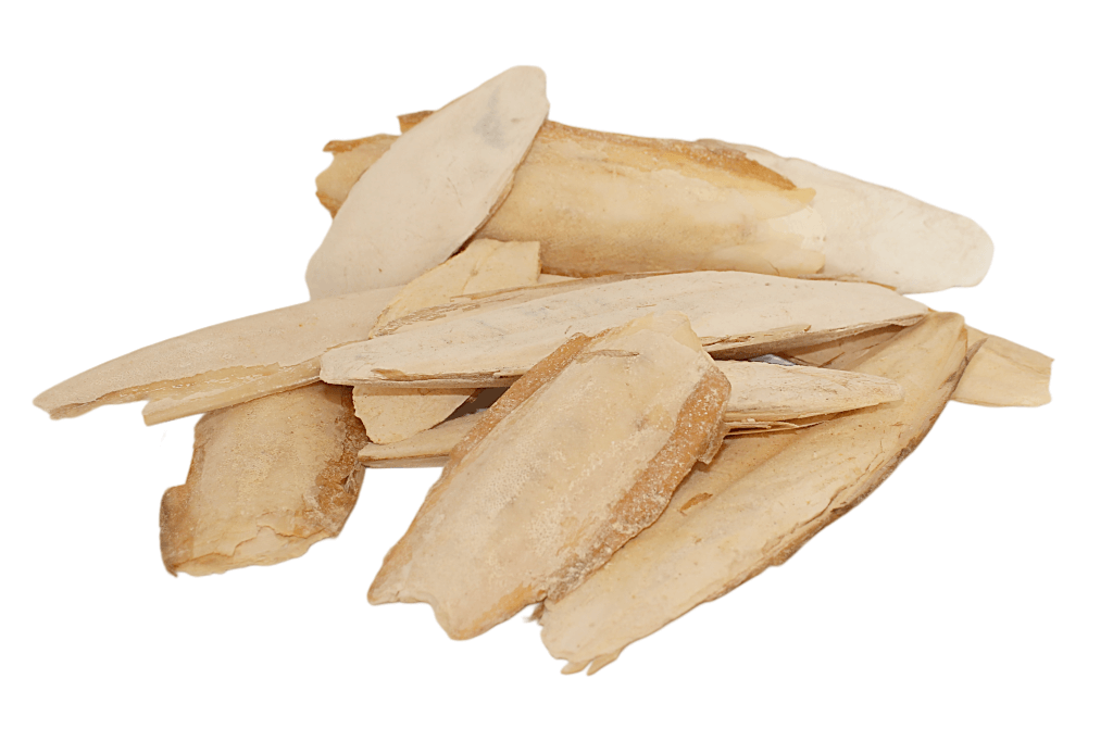 SanglSepia - Sepiaschalen Ergänzungsfuttermittel